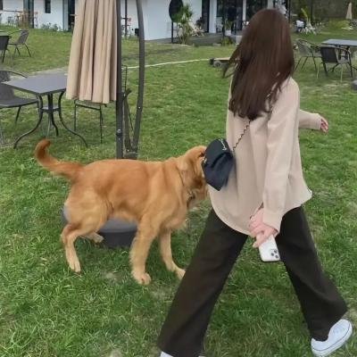 谎言的烙印